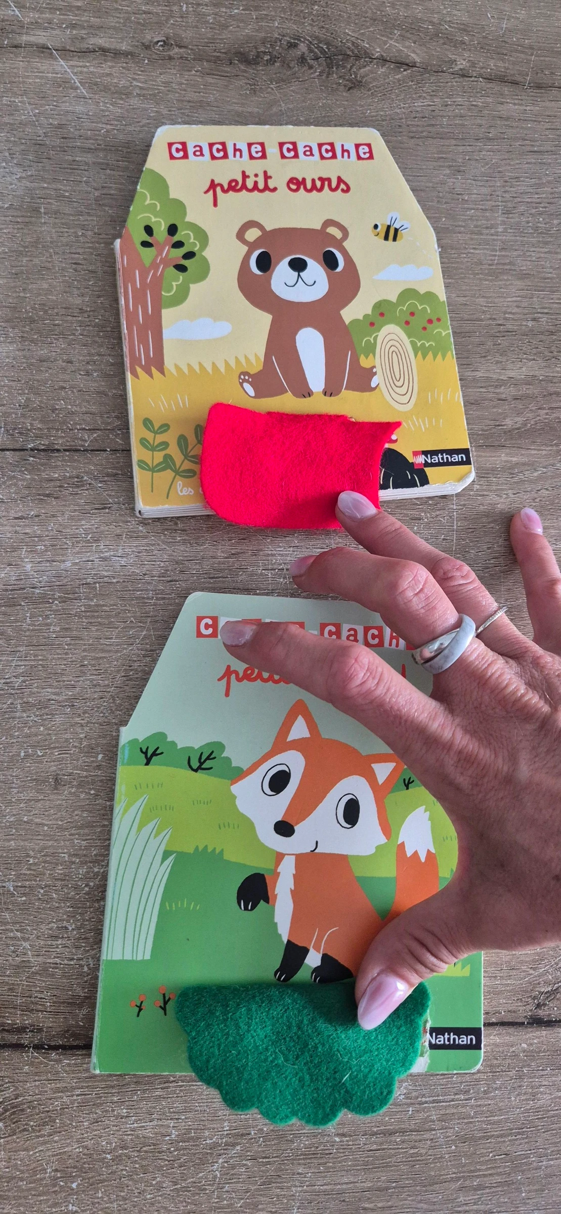 Lot de livros Cache-cache em feltro – photo 4